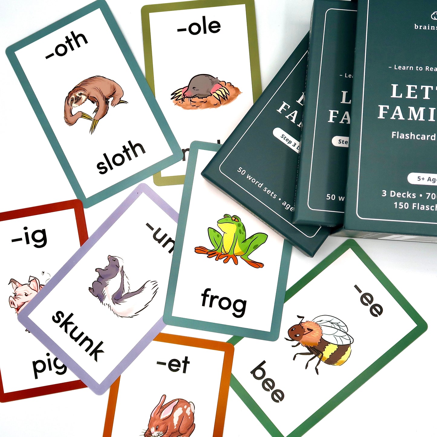 Letter Families - Box Set (3 Steps) image 2