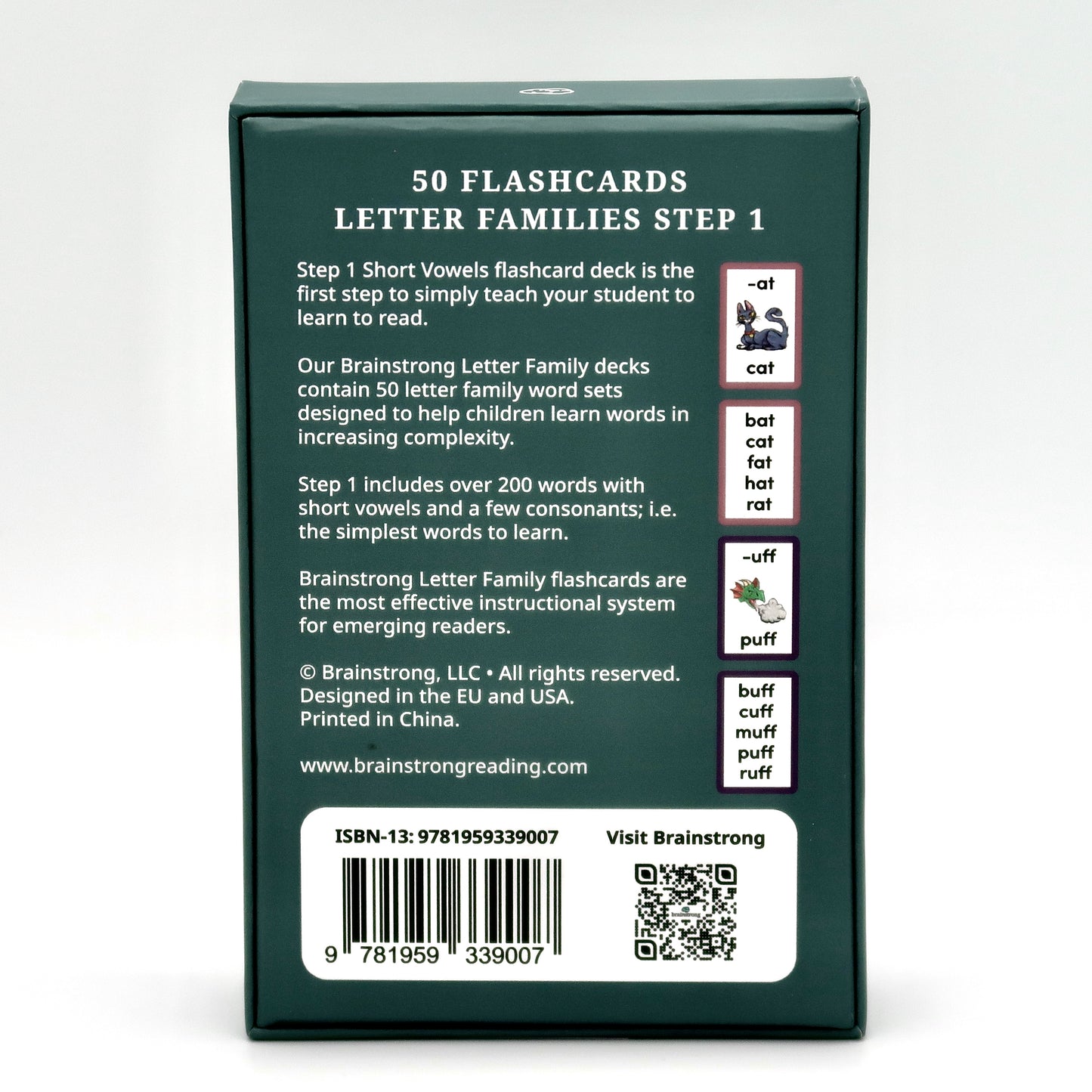Step 1 Short Vowels - Letter Families image 7