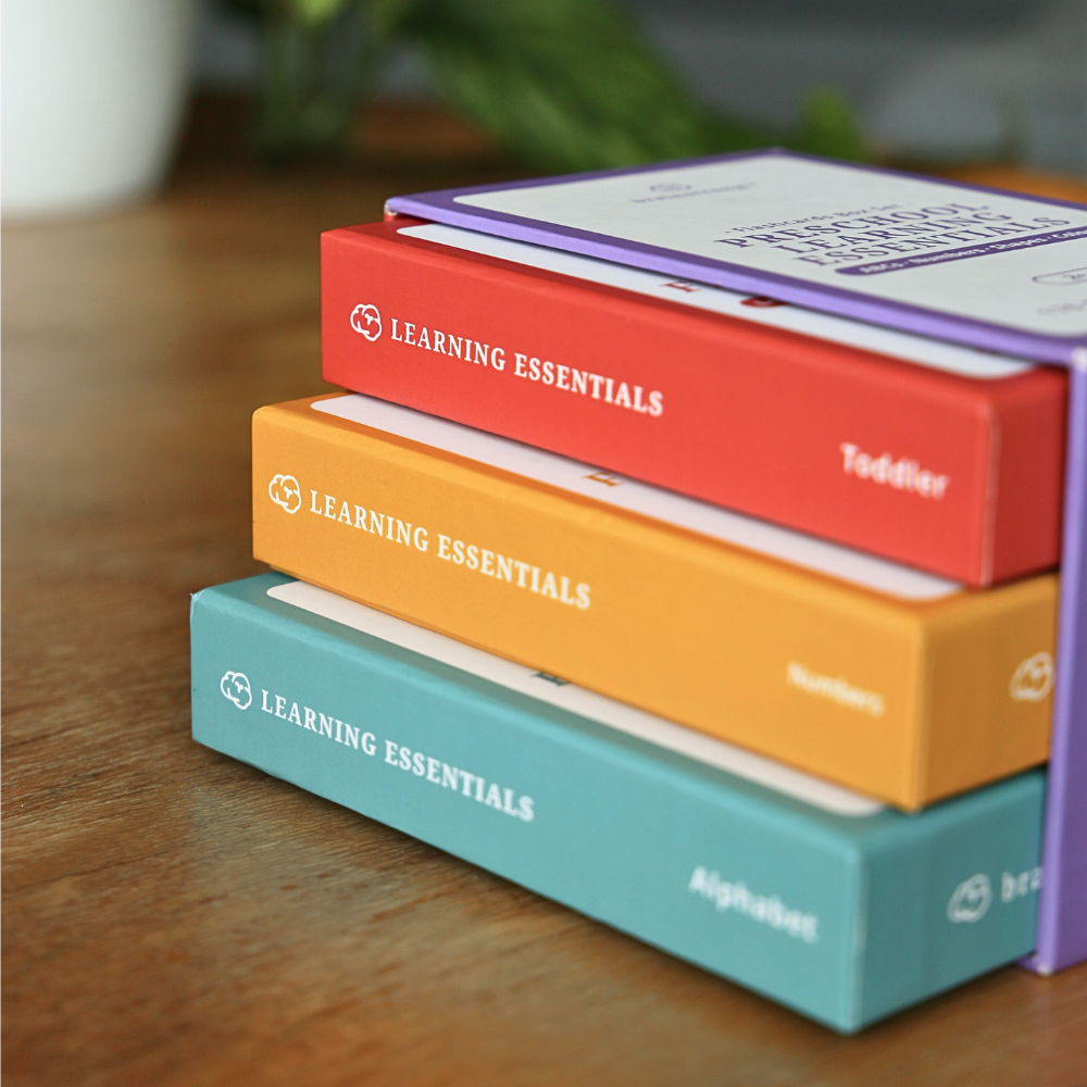 Preschool Learning Essentials - Box Set image 4