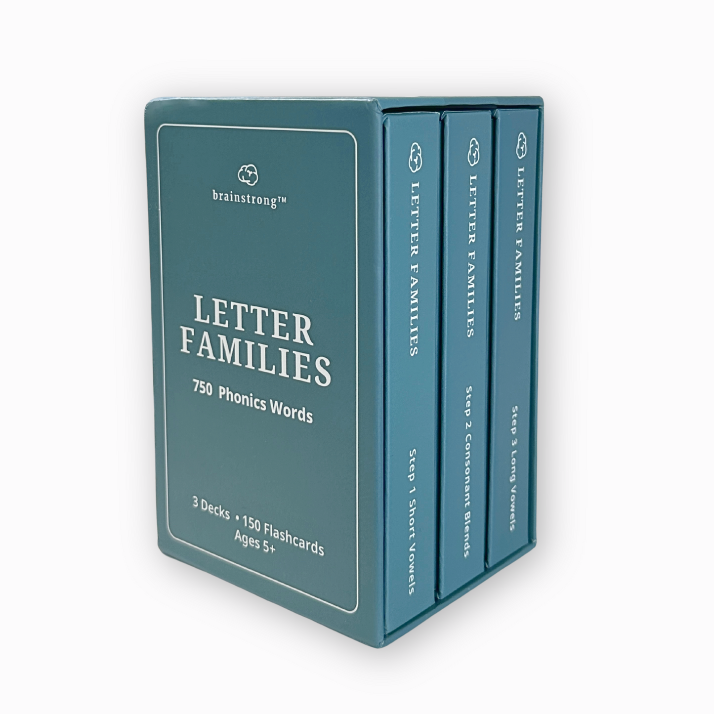 Letter Families/Phonics Box Set