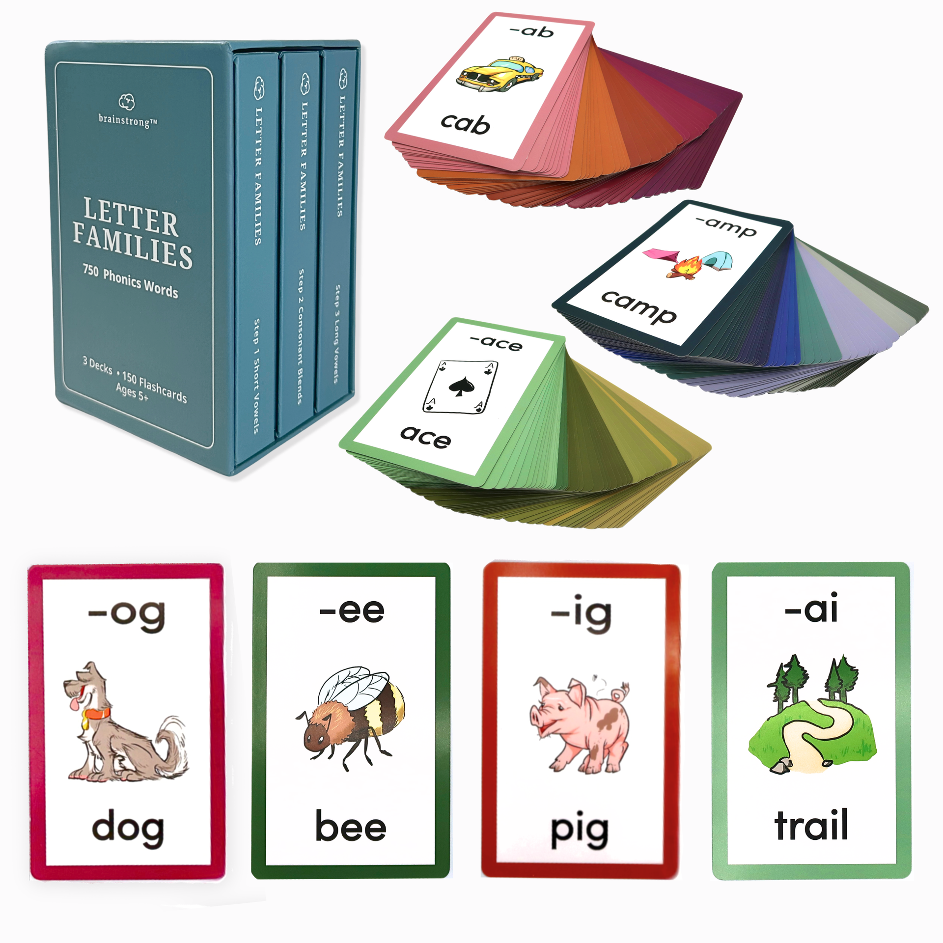 Letter Families Box Set (Phonics for Prek - 1st) – Brainstrong