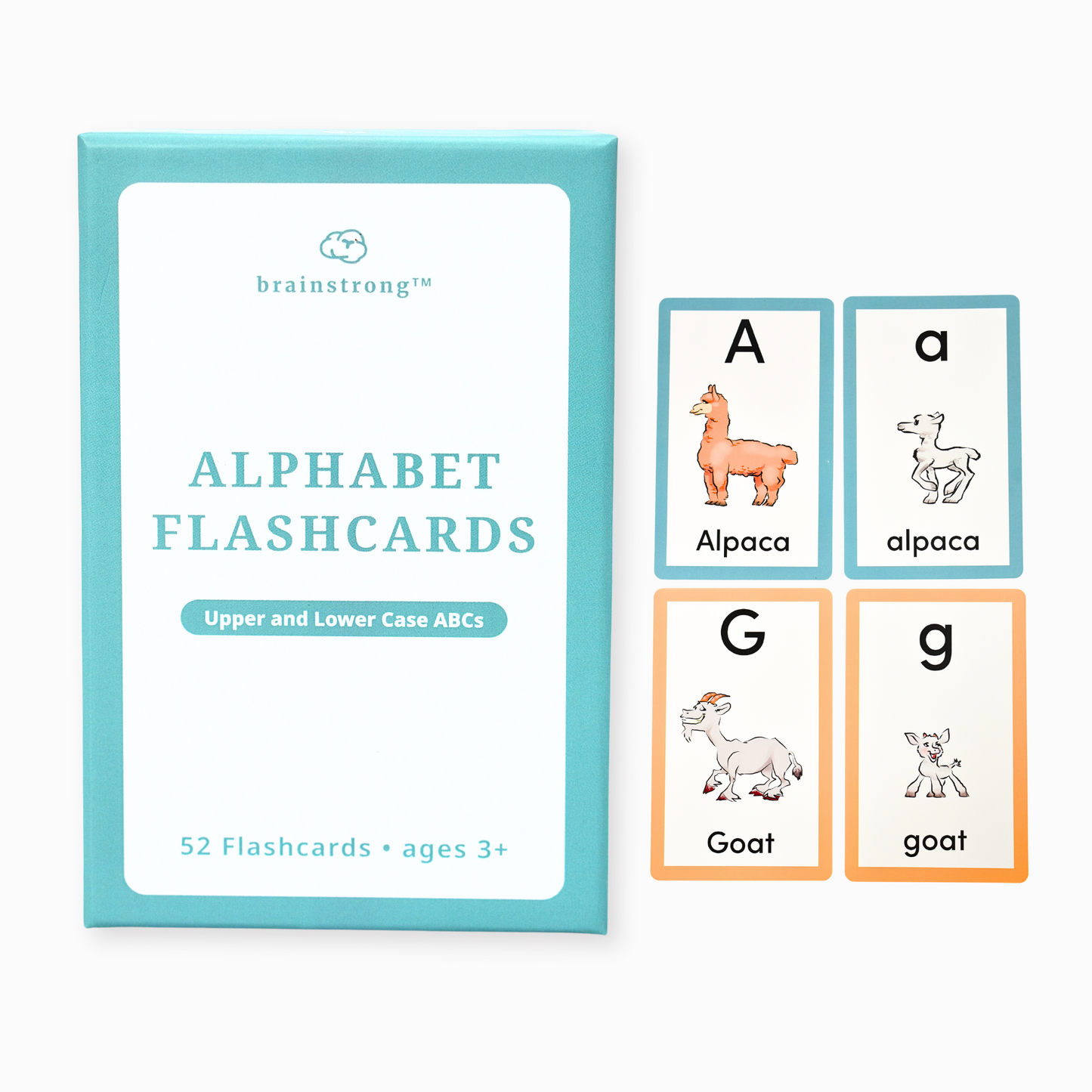 Alphabet Flashcards
