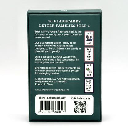Step 1 Short Vowels - Letter Families image 7
